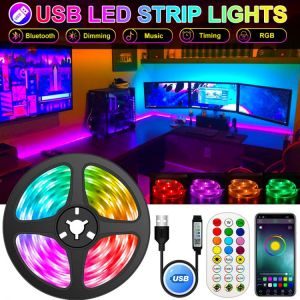 1 30M LED Streifen Lichter Bluetooth LED RGB 5V USB RGB Lichter Flexible LED Lampe Band Band TV Desktop Bildschirm Hintergrundbele